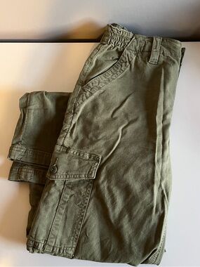Stretchy Green Cargo Pants American Eagle